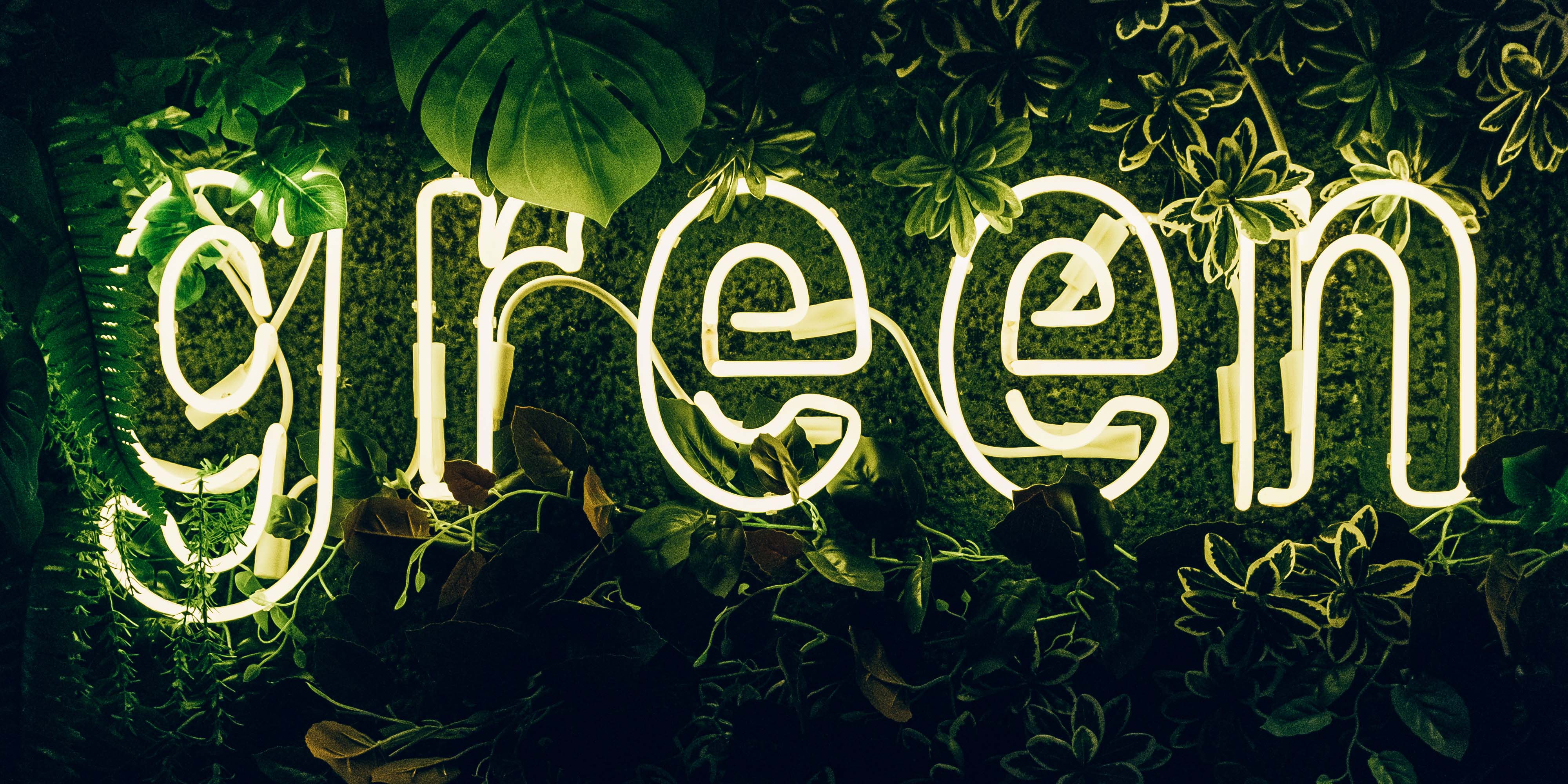 B\u0026B Press | Green Printing