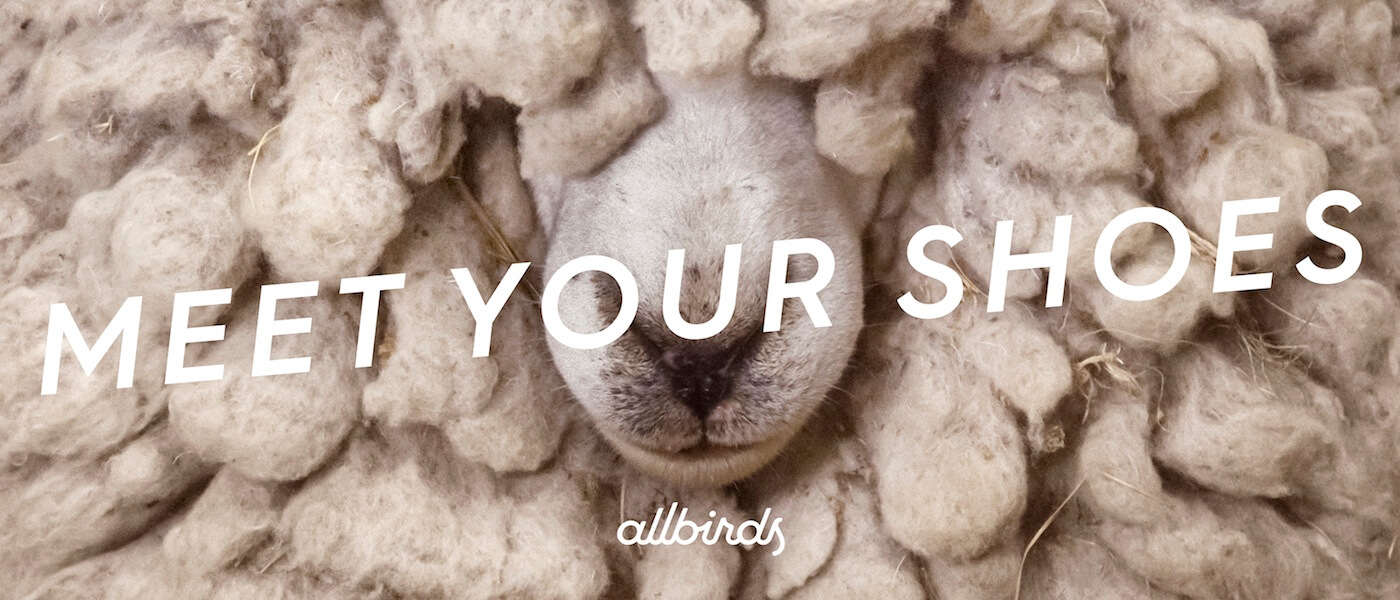 allbirds - meet your shoes