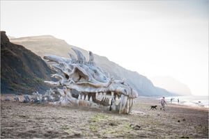 Smocza czaszka Game of Thrones wyrzucona na plażę