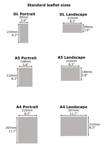 leaflet sizes