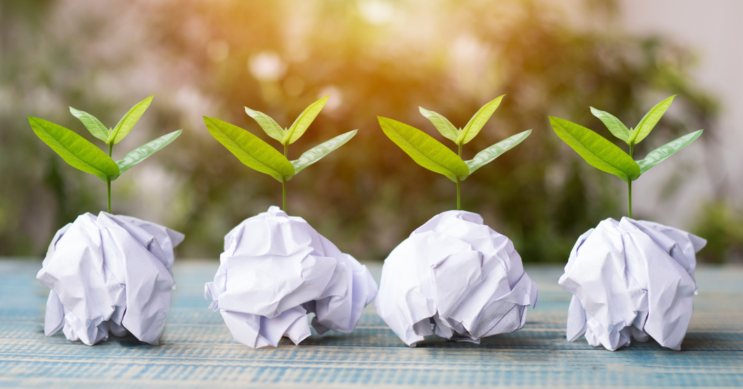 small trees grow on paper