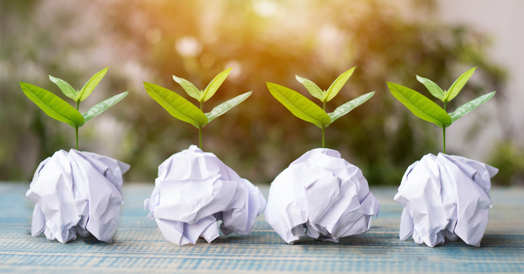 paper balls with plants