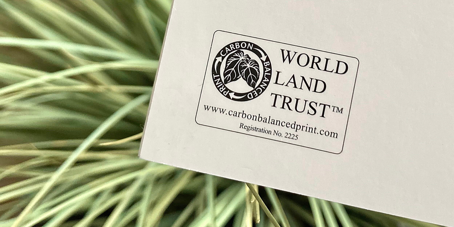 World land trust